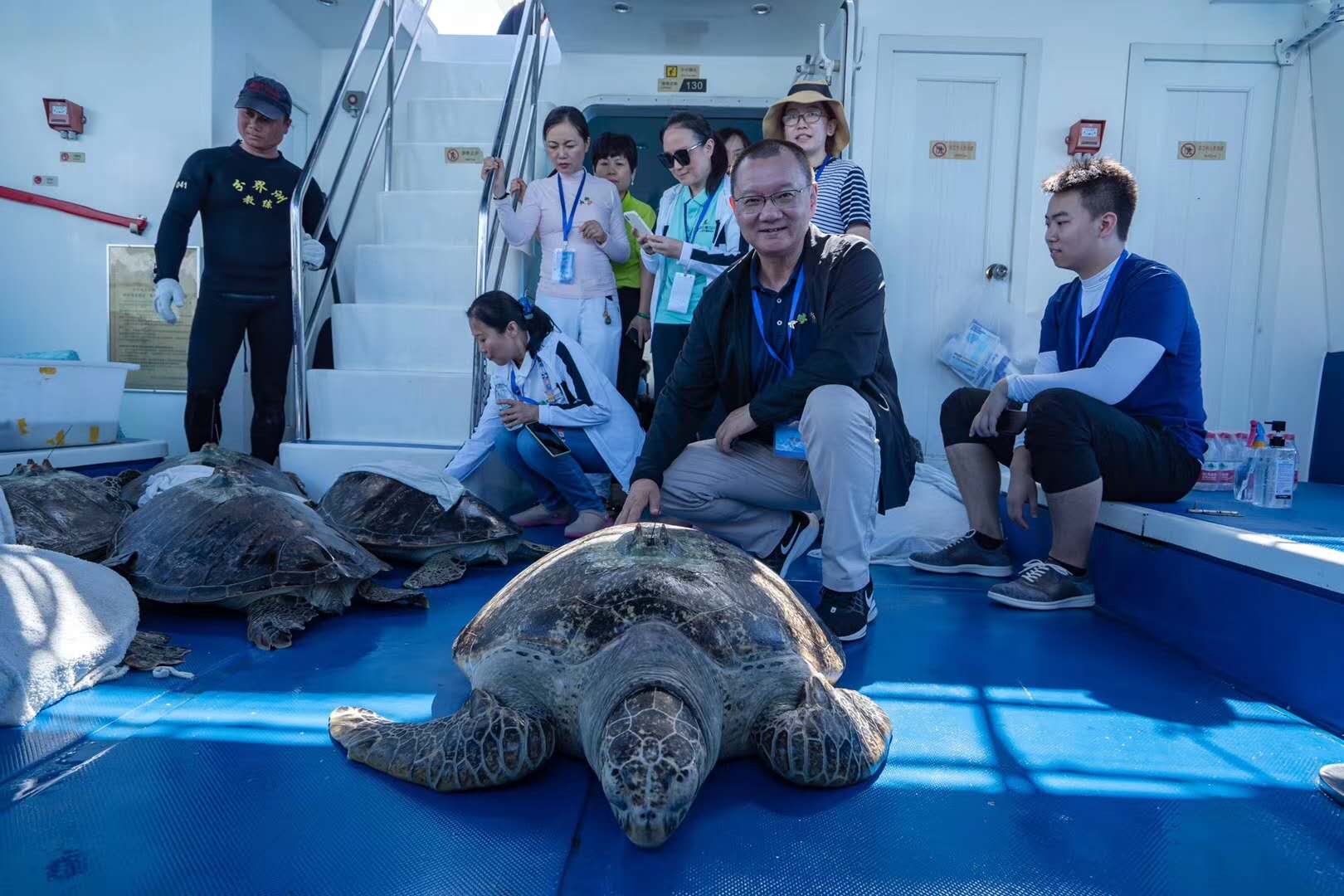 回家了！99只海龟通过“2020年南海海龟放流活动”回到大海